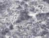 smectite_illite_2.jpg (67685 bytes)